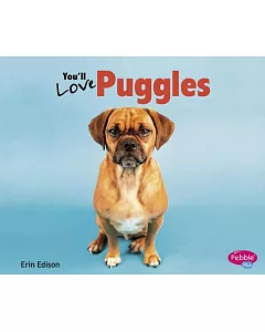 You’ll Love Puggles