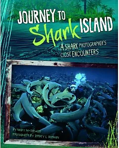 Journey to Shark Island: A Shark Photographer’s Close Encounters