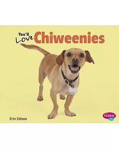 You’ll Love Chiweenies