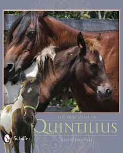 The True Story of Quintilius