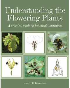 Understanding the Flowering Plants: A Practical Guide for Botanical Illustrators