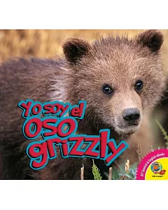 Oso grizzly / Grizzly Bear