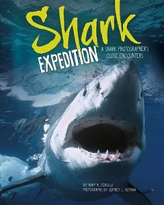 Shark Expedition: A Shark Photographer’s Close Encounters