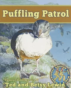 Puffling Patrol