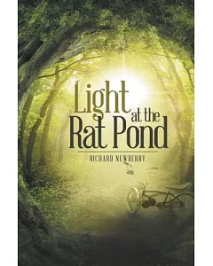 Light at the Rat Pond