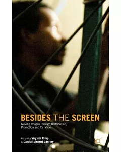 Besides the Screen: Moving Images Through Distribution, Promotion and Curation