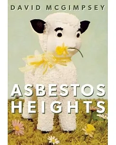 Asbestos Heights: The Canonical Notebooks