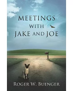 Meetings With Jake and Joe