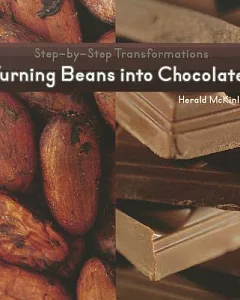 Turning Beans into Chocolate