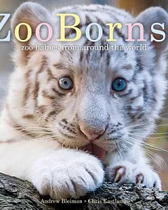 ZooBorns!: Zoo Babies from Around the World