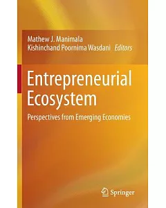 Entrepreneurial Ecosystem: Perspectives from Emerging Economies