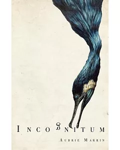 Incognitum