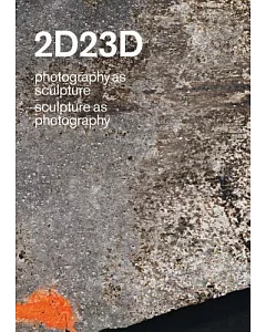 2D23D: Photography As Sculpture / Sculpture As Photography
