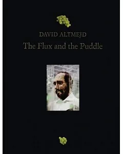 The Flux and the Puddle