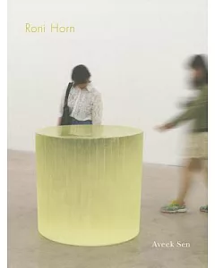 Roni Horn: The Sensation of Sadness at Having Slept Through a Shower of Meteors