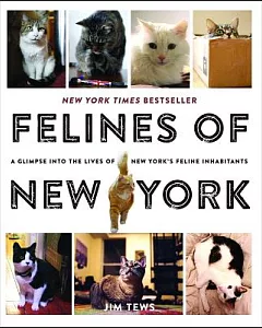 Felines of New York: A Glimpse into the Lives of New York’s Feline Inhabitants