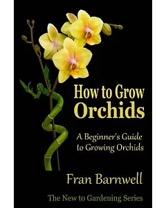 How to Grow Orchids: A Beginner’s Guide to Growing Orchids
