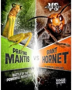 Praying Mantis vs. Giant Hornet: Battle of the Powerful Predators