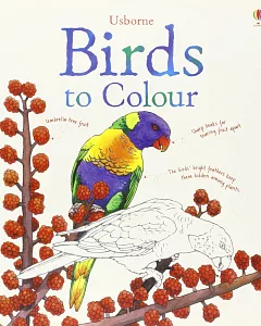 Birds to Colour