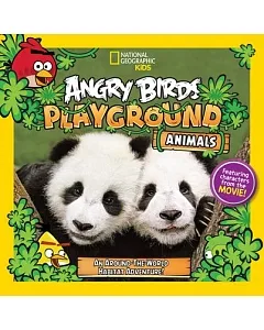 Angry Birds Playground Animals: An Around-the-World Habitat Adventure!
