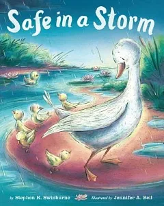 Safe in a Storm