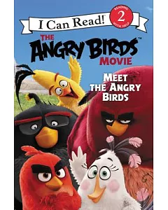Meet the Angry Birds