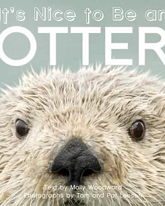It’s Nice to Be an Otter