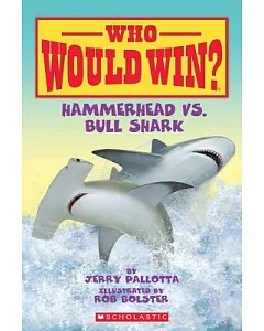 Hammerhead vs. Bull Shark