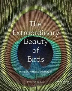 The Extraordinary Beauty of Birds: Designs, Patterns and Details