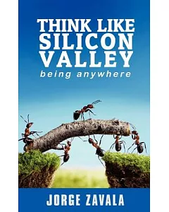 Think Like Silicon Valley: Explorting the Silicon Valley Way of Thinking to Companies Around the Globe