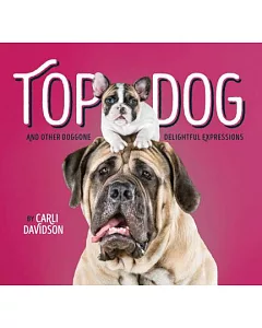 Top Dog: And Other Doggone Delightful Expressions