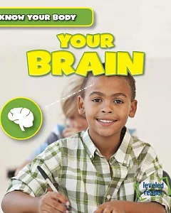 Your Brain