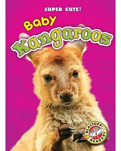 Baby Kangaroos