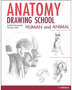 Anatomy Drawing ScHool: Human and Animal