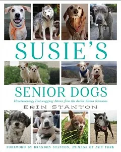 Susie’s Senior Dogs