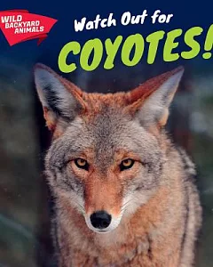 Watch Out for Coyotes!