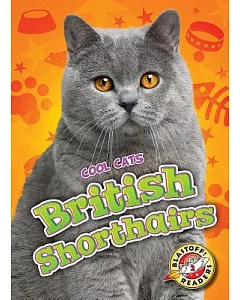 British Shorthairs