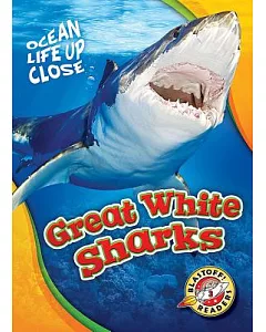 Great White Sharks