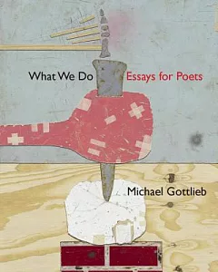 What We Do: Essays for Poets