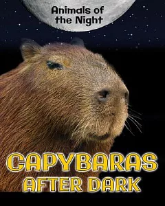 Capybaras After Dark