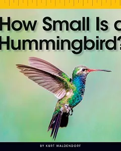 How Small Is a Hummingbird?