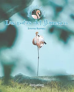 Las patas del flamenco/ The Flamingo’s Legs