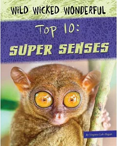 Top 10 Super Senses