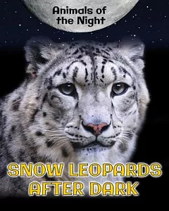 Snow Leopards After Dark