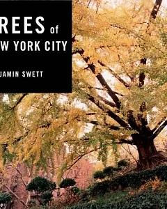 Trees of New York City