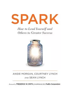 Spark: How to Lead Yourself and Others to Greater Success; Library Edition