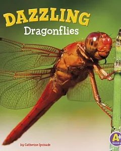 Dazzling Dragonflies
