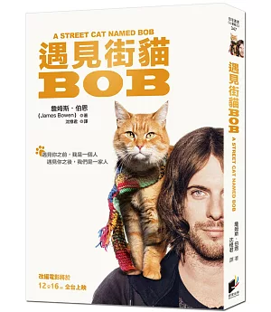 遇見街貓Bob