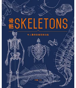 骨骼SKELETONS：令人驚奇的造型與功能
