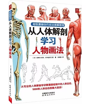 從人體解剖學習人物畫法
